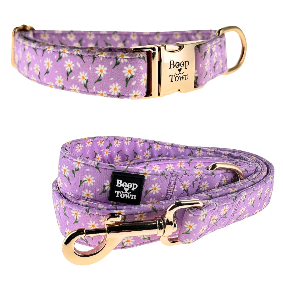 Ensembles collier et laisse pour chien