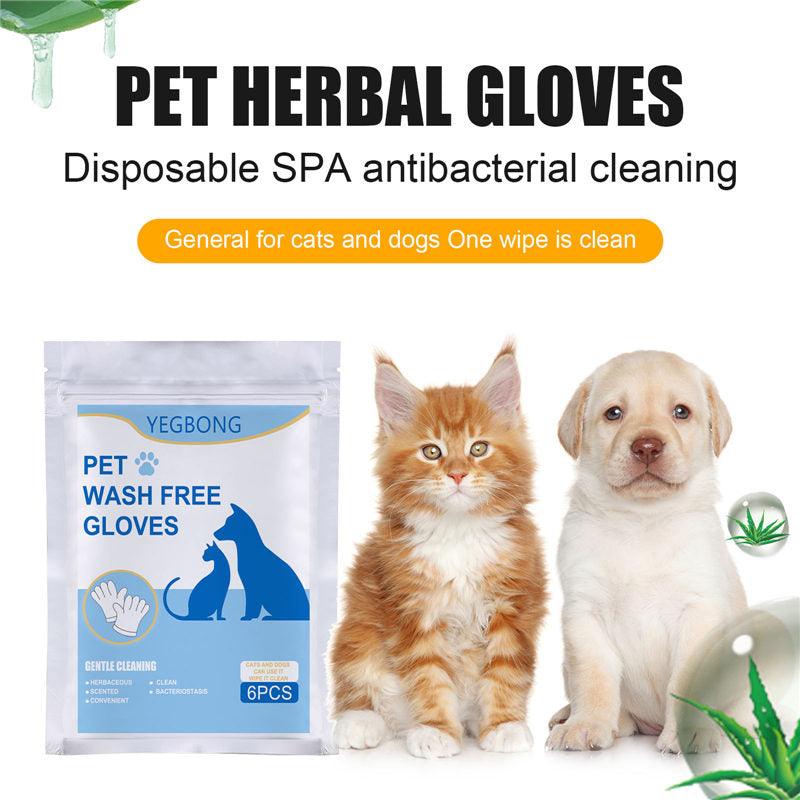 Elementos esenciales para el cuidado de mascotas: Paquete de 6 guantes desechables no tejidos para un hogar limpio y feliz, de Dog Hugs Cat