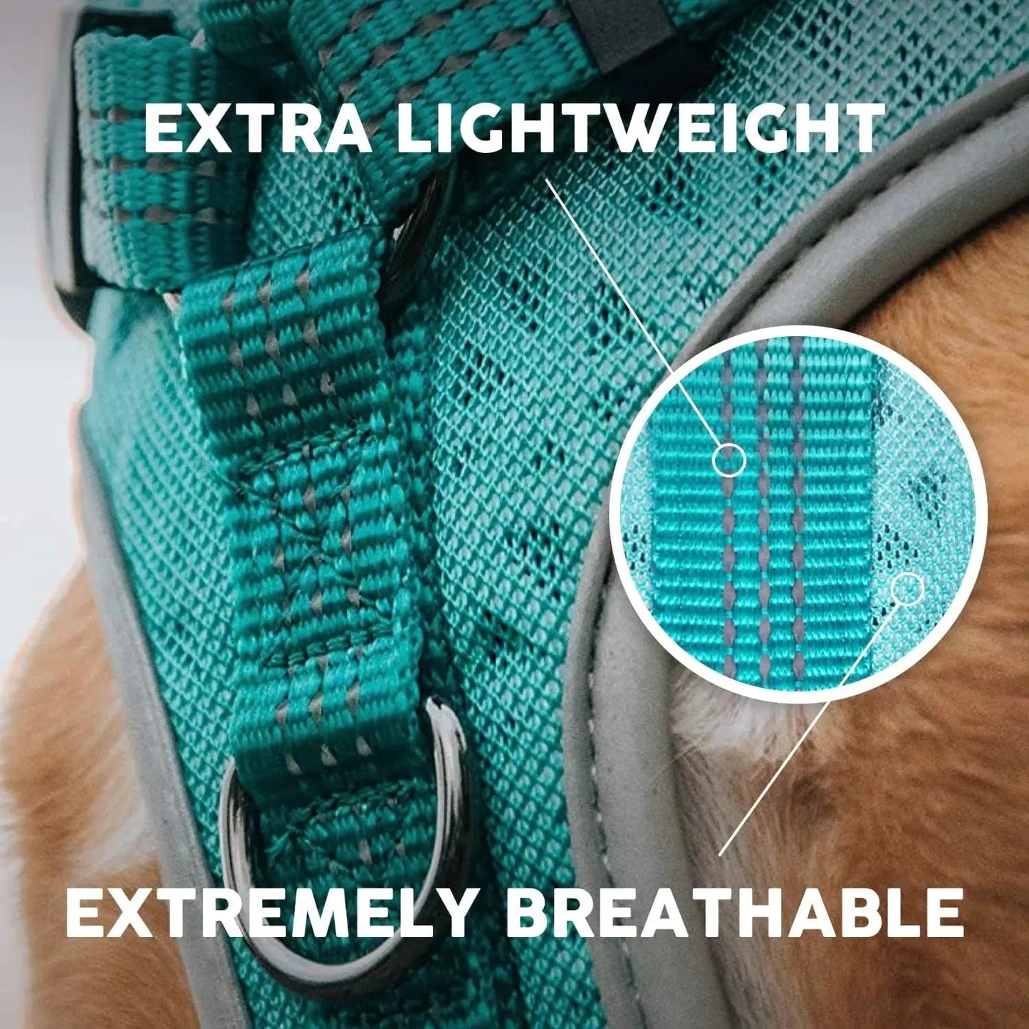 Harnais pour chien Embark Sports, harnais anti-traction pour grands chiens, léger et respirant - Facile à mettre et à enlever, idéal pour le dressage sans traction, taille ajustable, anti-étranglement avec poignée de contrôle. Gilet turquoise
