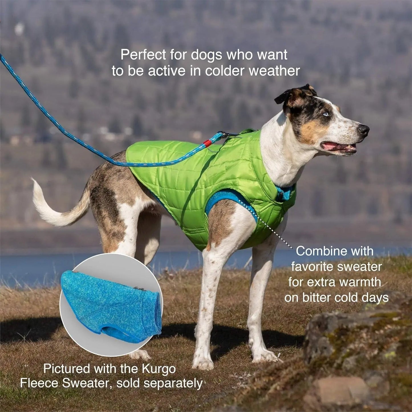 Manteau Loft pour chien, réversible, idéal par temps froid, imperméable et doté de bandes réfléchissantes, noir/jaune, taille moyenne