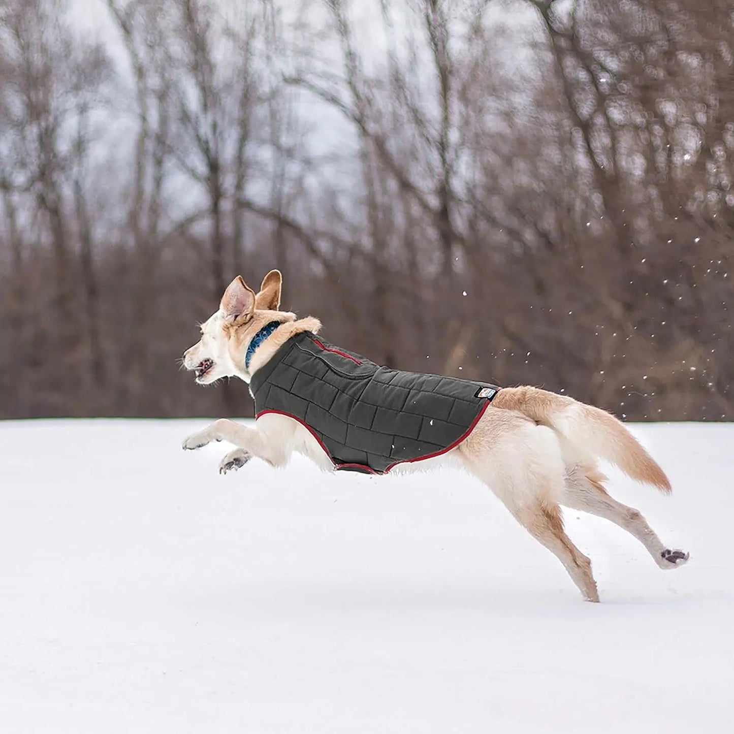 Chaqueta para perros Loft - Abrigo reversible y acogedor para aventuras al aire libre - Resistente al agua - Corte deportivo - Tejido lavable a máquina - Reflectante - Talla mediana - Rojo chile