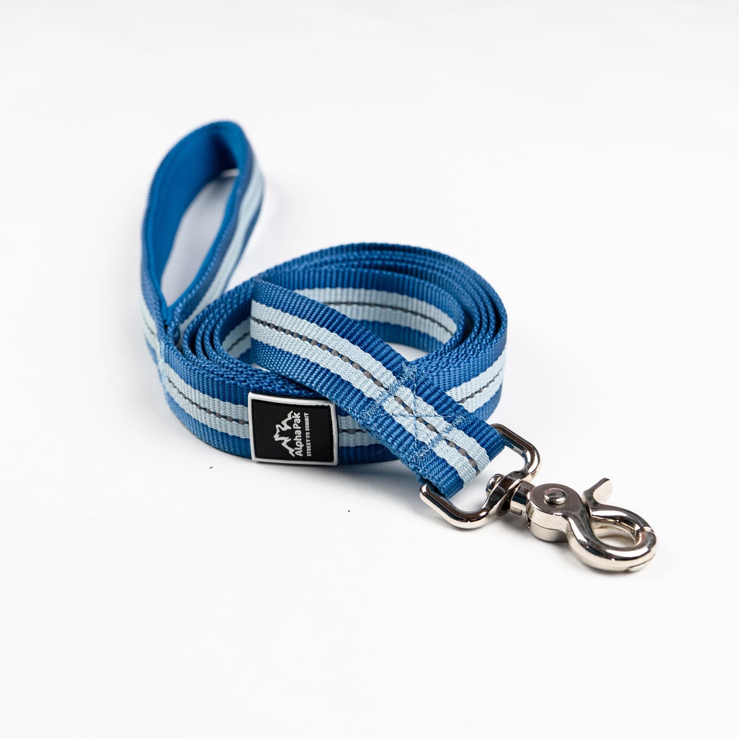 Laisse plate classique pour chien