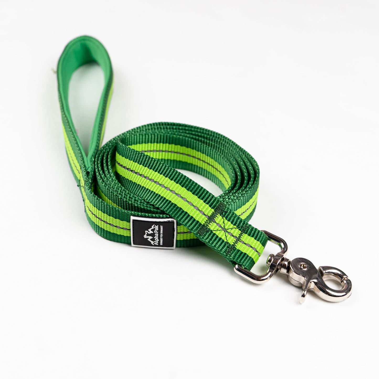 Laisse plate classique pour chien