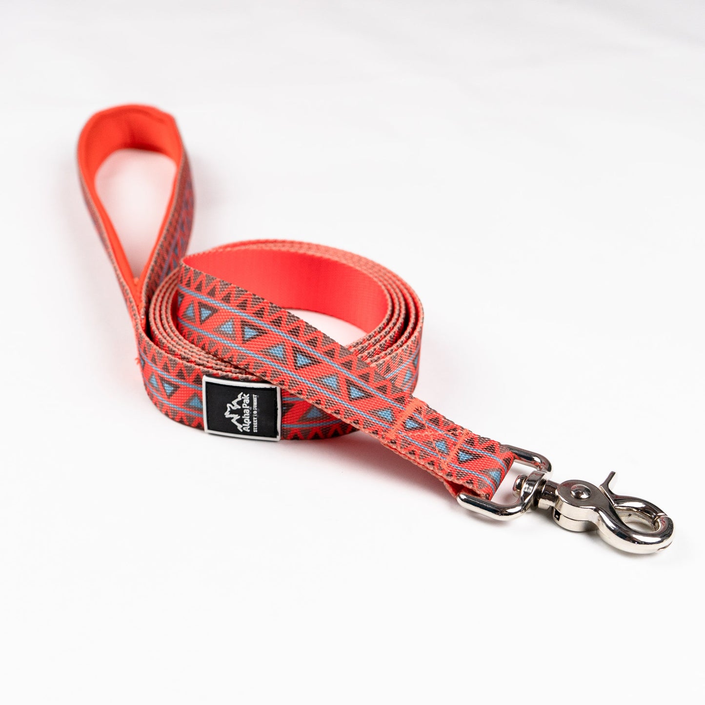 Laisse plate classique pour chien