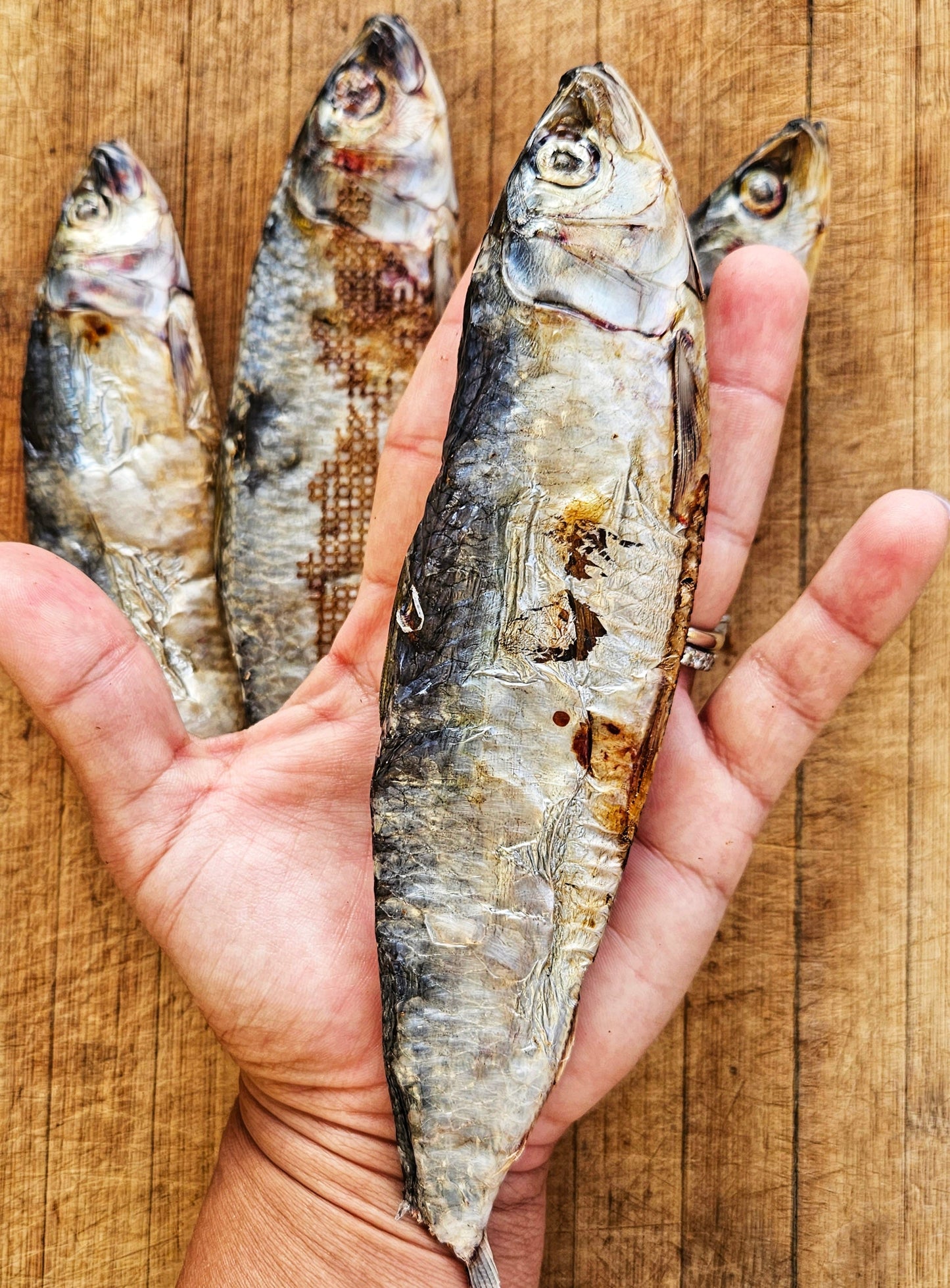 Sardines sauvages déshydratées pour chats et chiens — 100 % ingrédient unique | Raw Instincts Florida | Quantité : 5 poissons