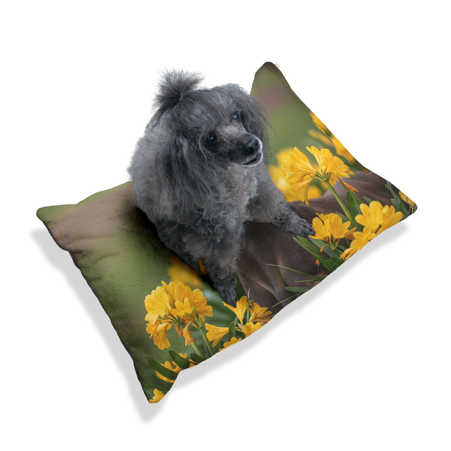 Sloughi Pet Bed