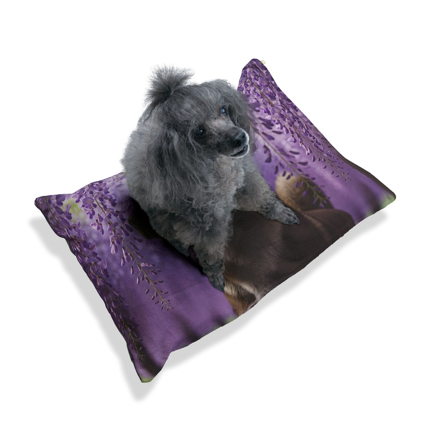 Shikoku Pet Bed