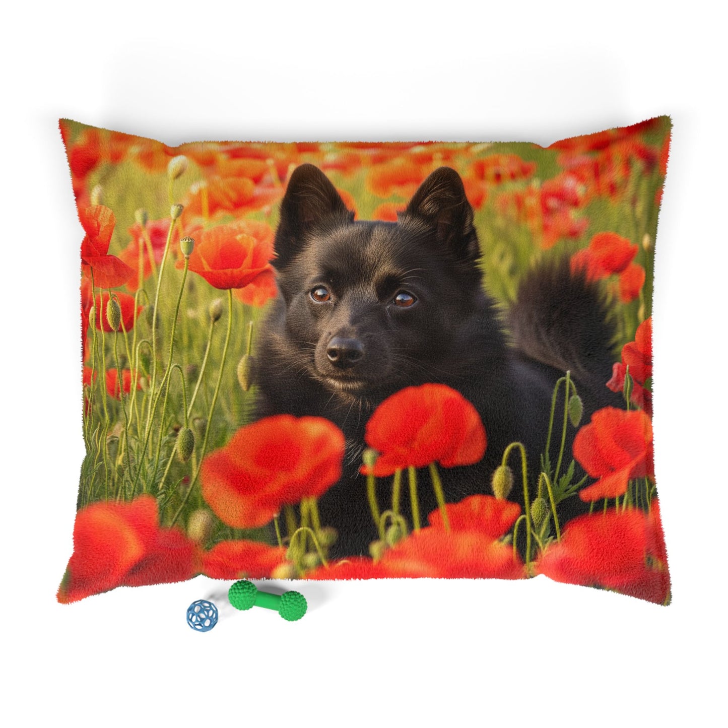 Lit pour animaux Schipperke