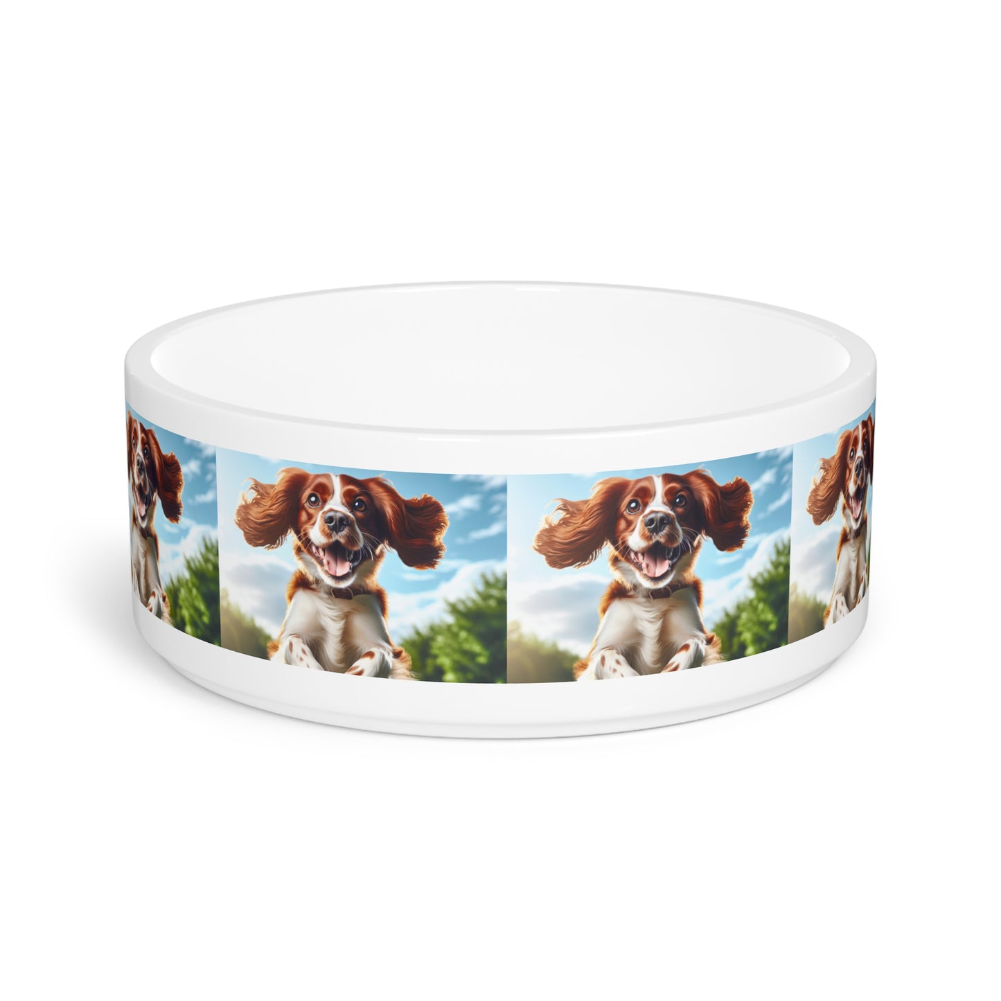 Welsh Springer Pet Bowl