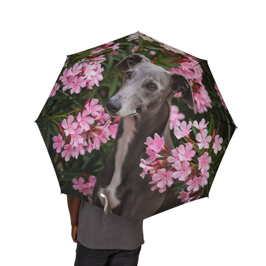 Greyhound Semi-Automatic Foldable Umbrella