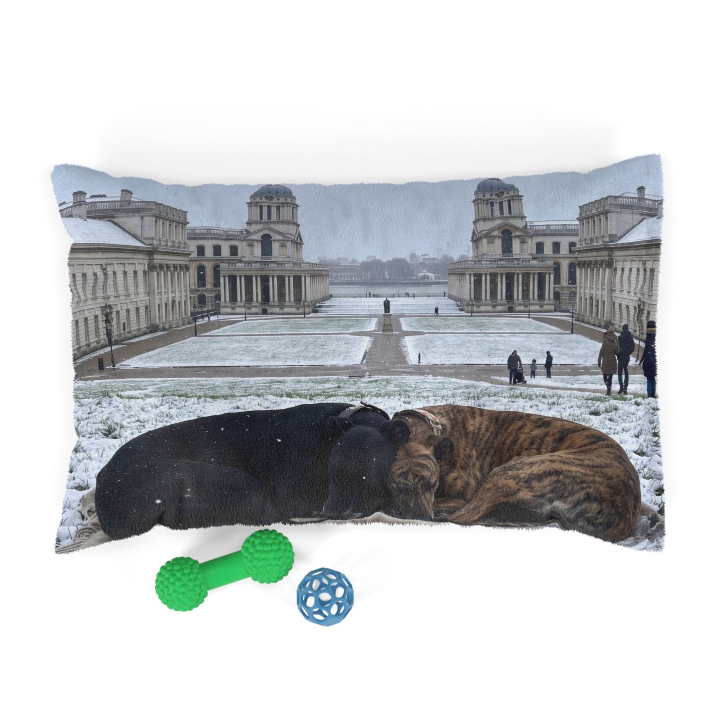 Greyhound Pet Bed