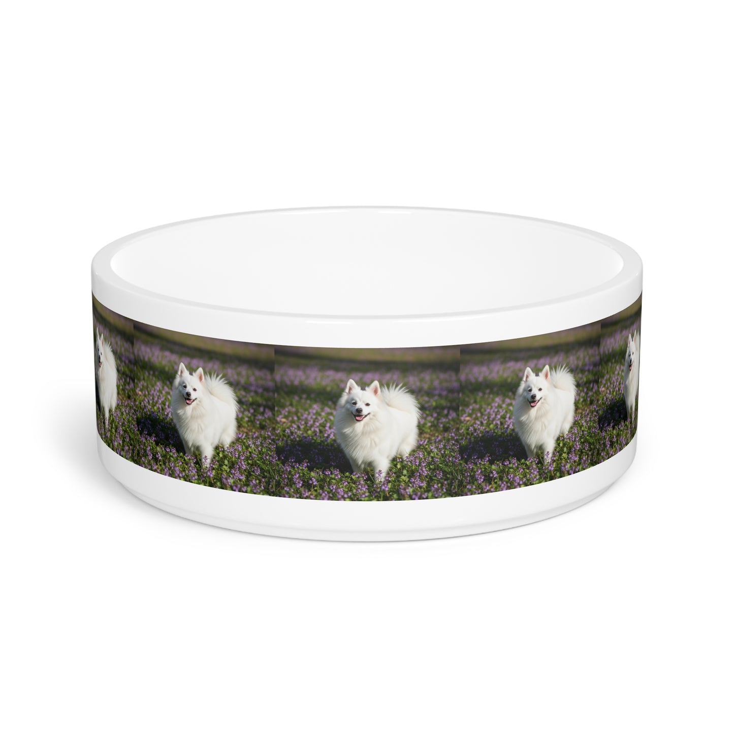 German Spitz Pet Bowl