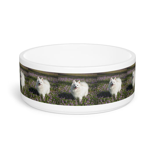 German Spitz Pet Bowl