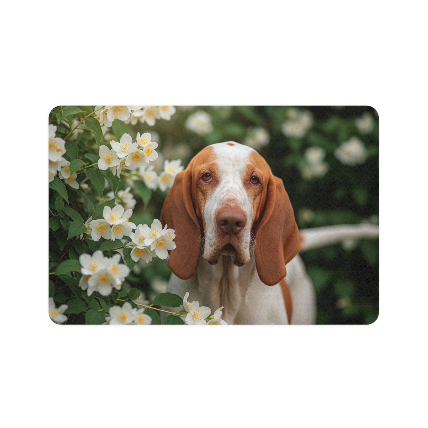 Pet Food Mat (12x18) - Bracco Italiano