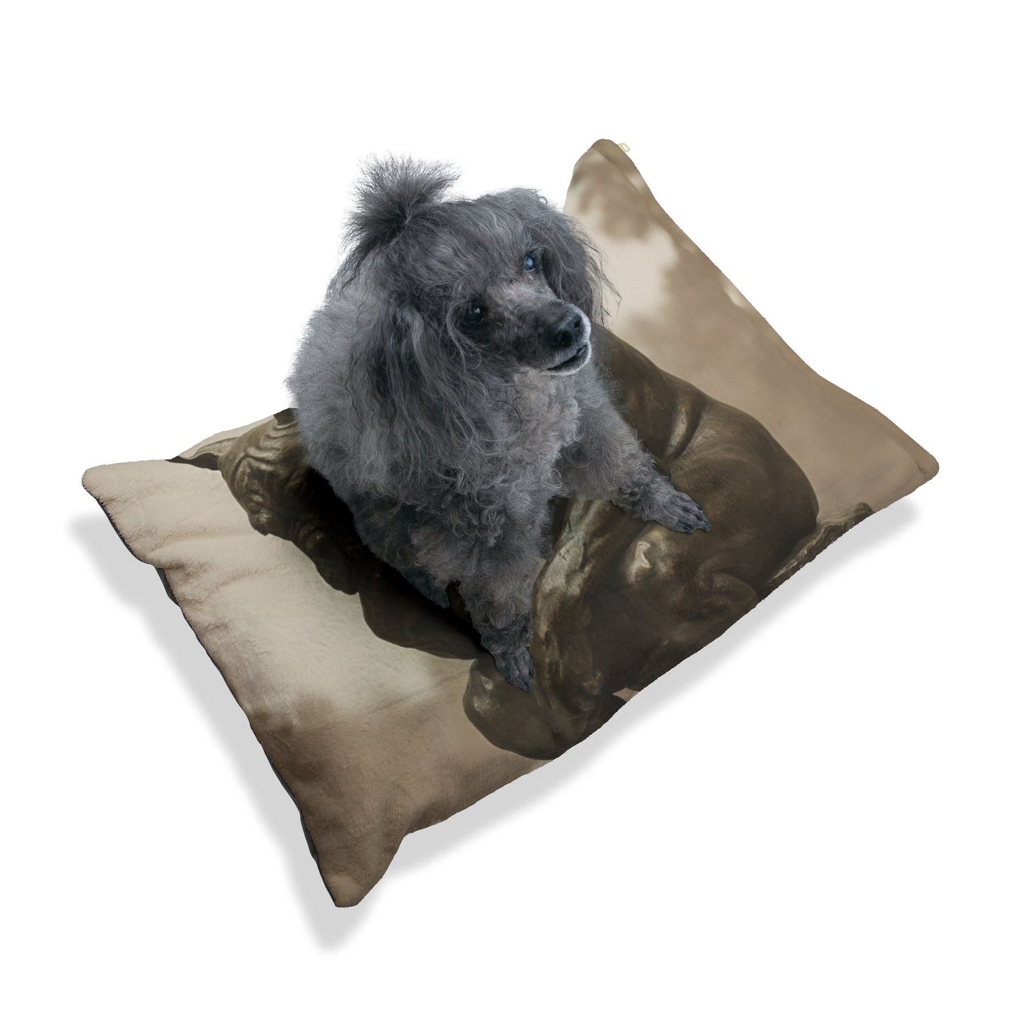 French Bulldog Pet Bed