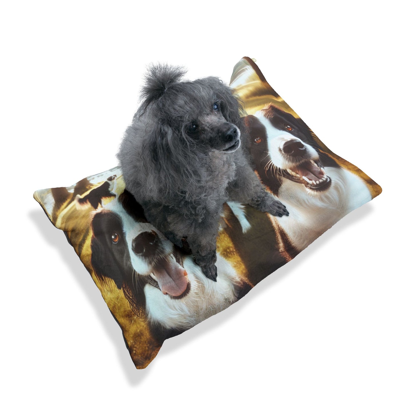 Lit pour animaux Stabyhouns