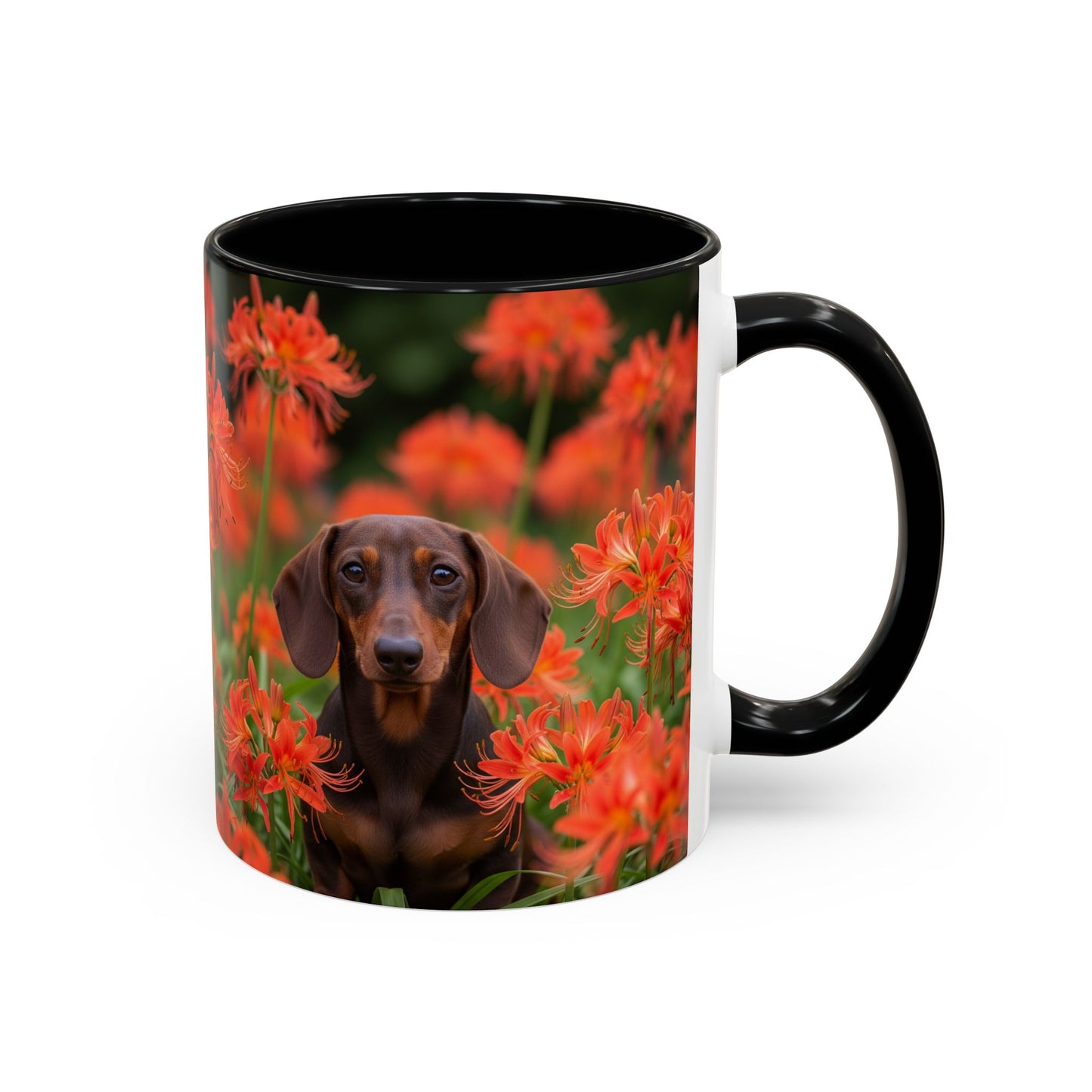 Dachshund Accent Coffee Mug - Perfect Gift for Dog Lovers