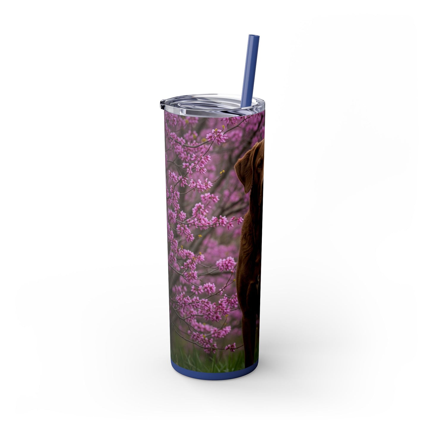 Gobelet isotherme Chesapeake Bay Retriever avec paille, 590 ml