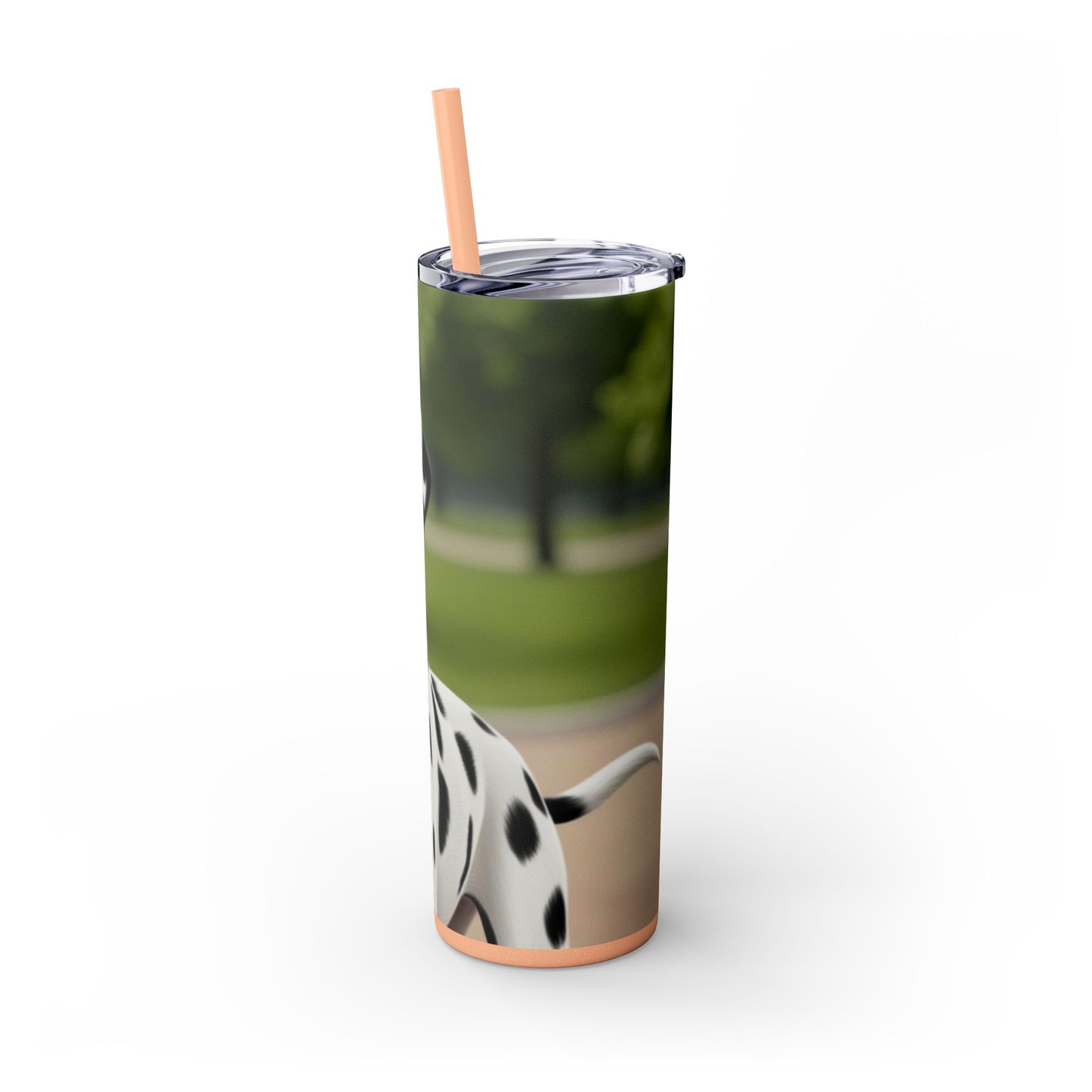 Skinny Tumbler with Straw – 20 oz Stainless Steel Cup