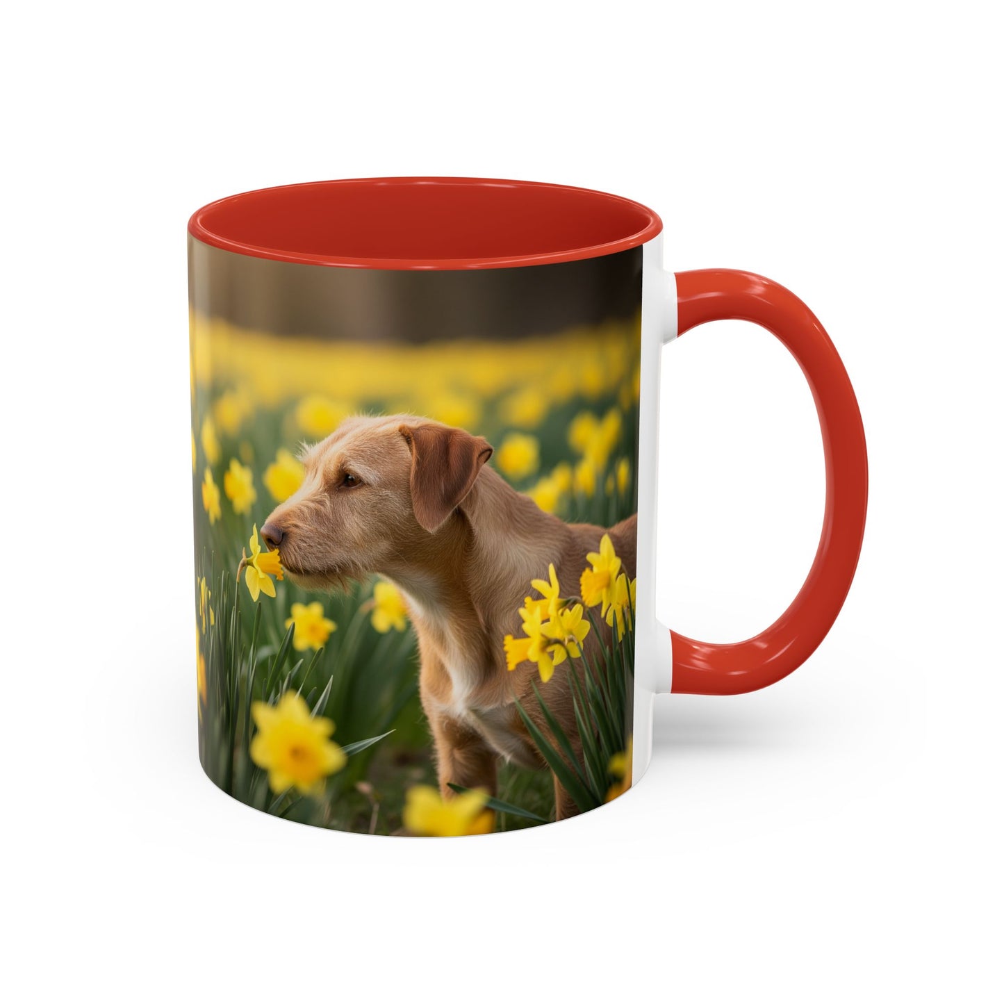 Mug à café avec motif Podengo Pequeno portugais - Cadeau idéal pour les amoureux des chiens
