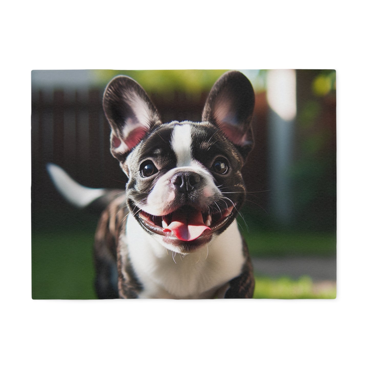 Frenchton Sweatshirt Blanket