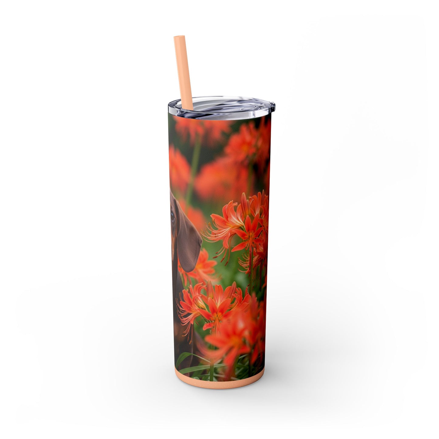 Gobelet isotherme Teckel avec paille, 590 ml