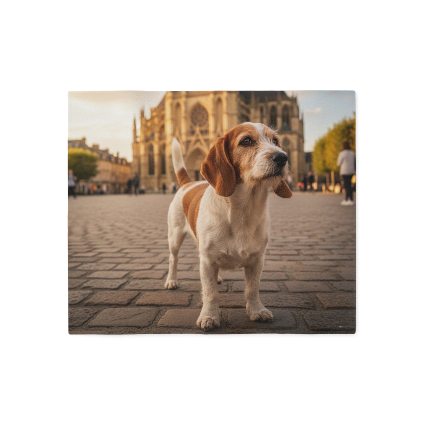 Petit Basset Griffon Blanket