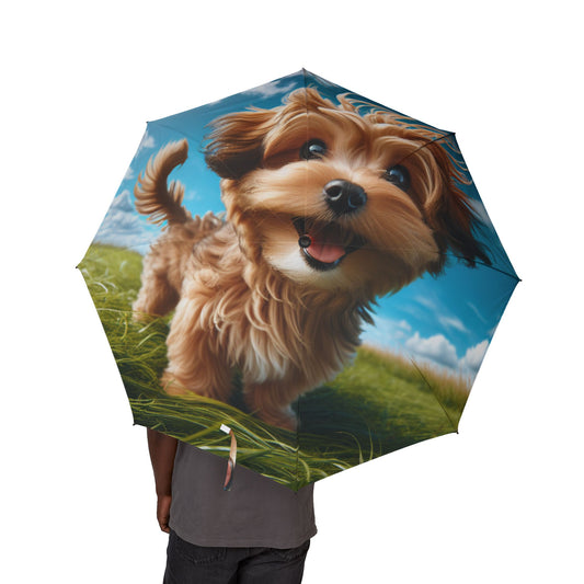 Kaikadi Semi-Automatic Foldable Umbrella