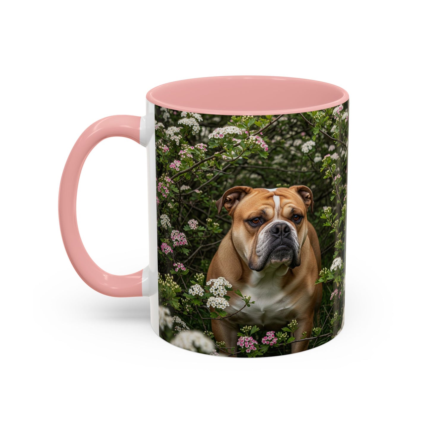 Mug à café Olde English Bulldogge Accent - Cadeau idéal pour les amoureux des chiens