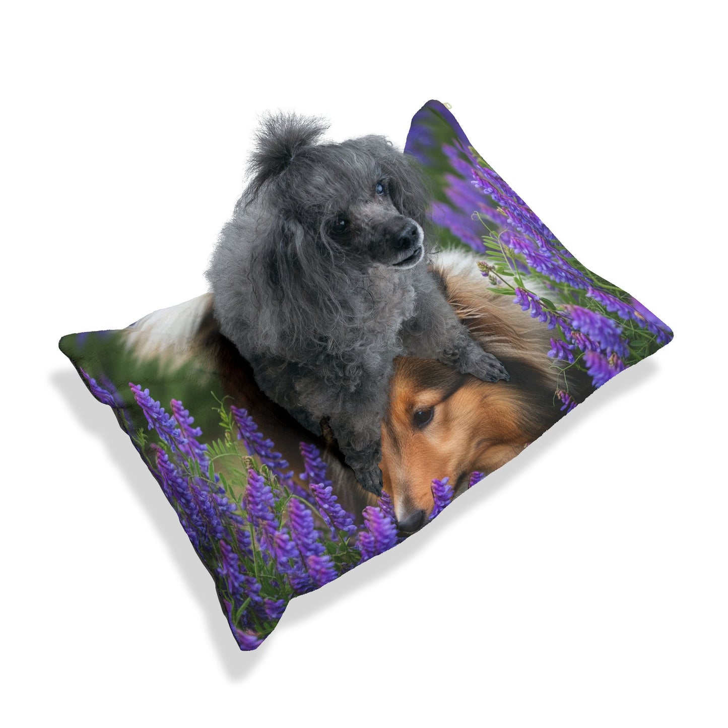 Cama para mascotas Shetland Sheepdog