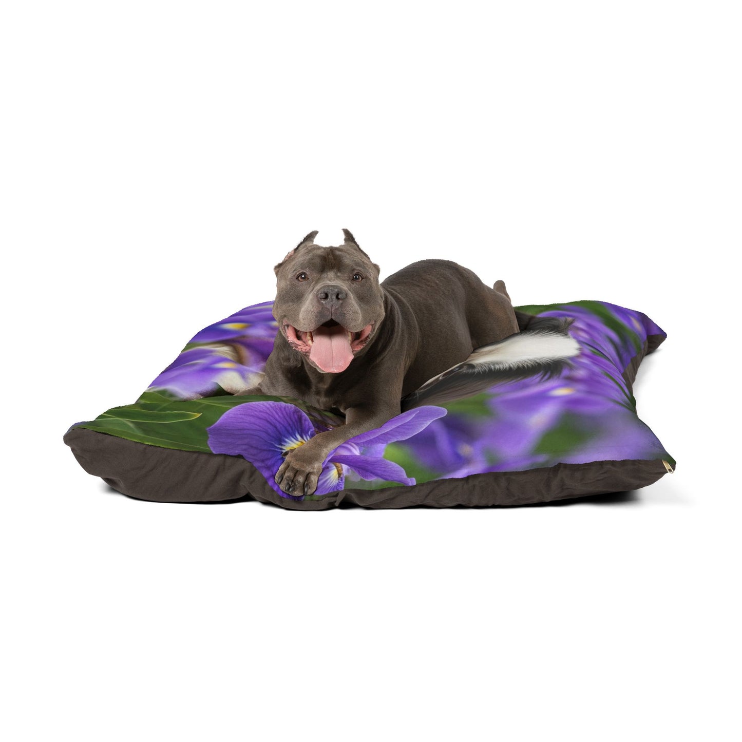 Japanese Chin Pet Bed