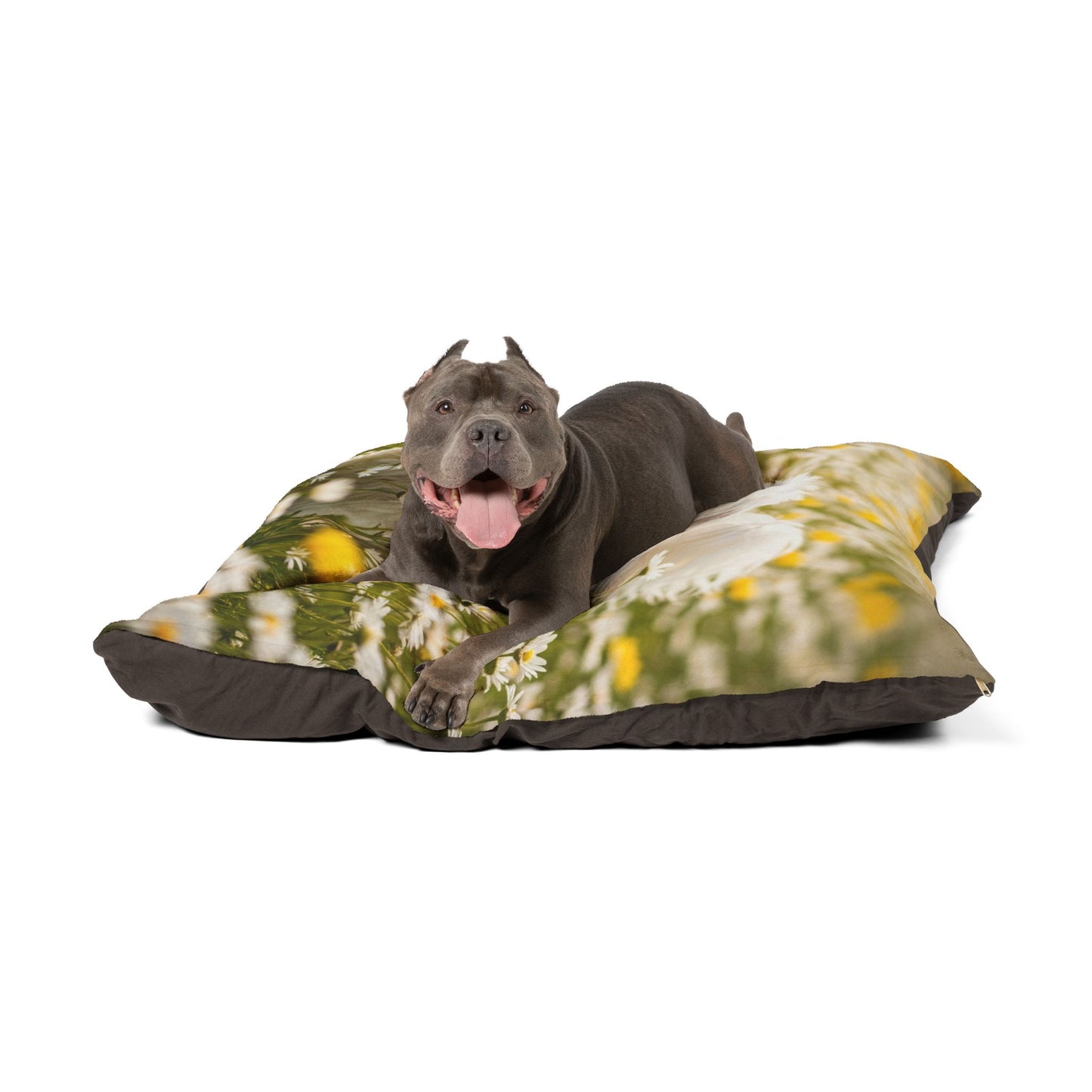 Lowchen Pet Bed