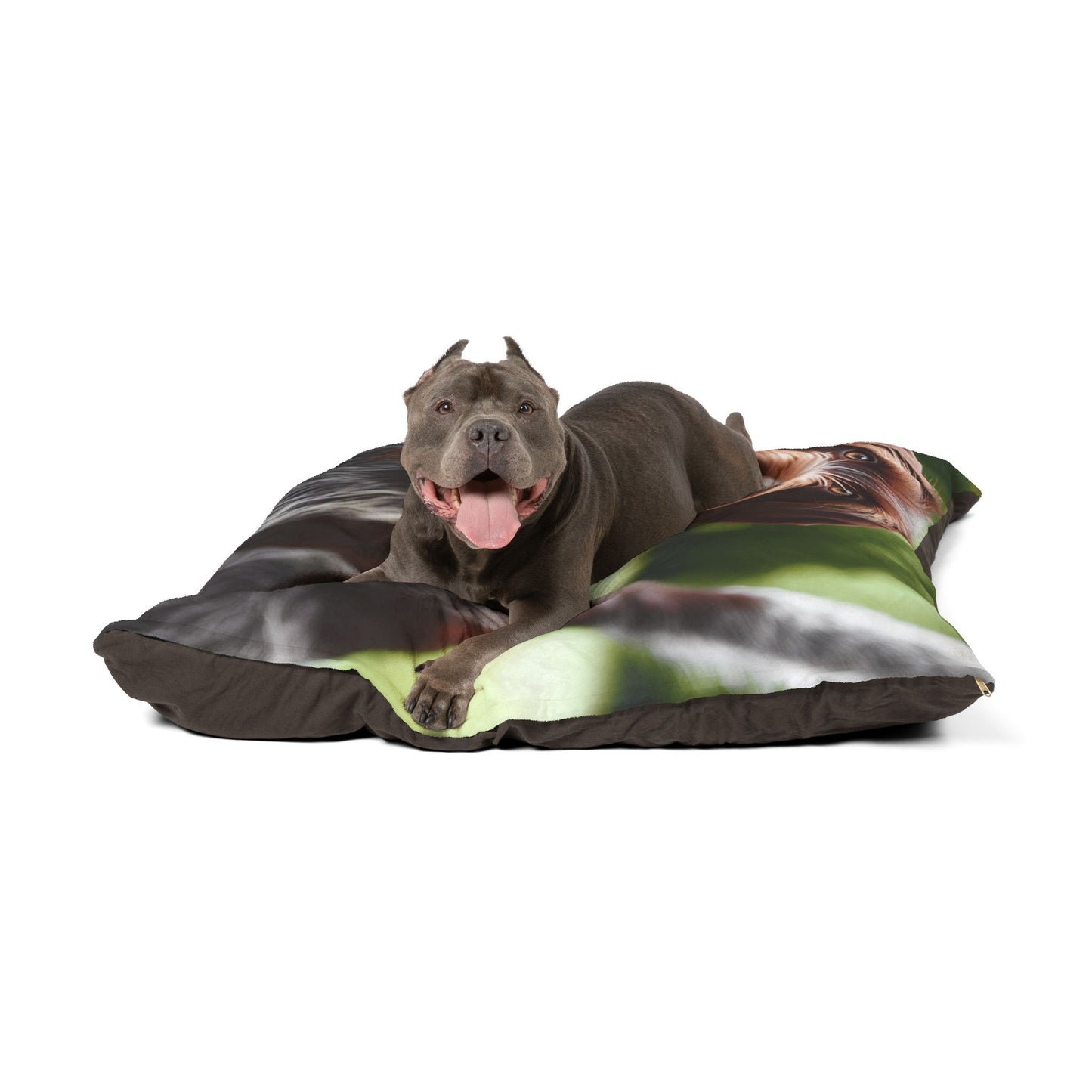 Wirehaired Slovakian Pointer Pet Bed