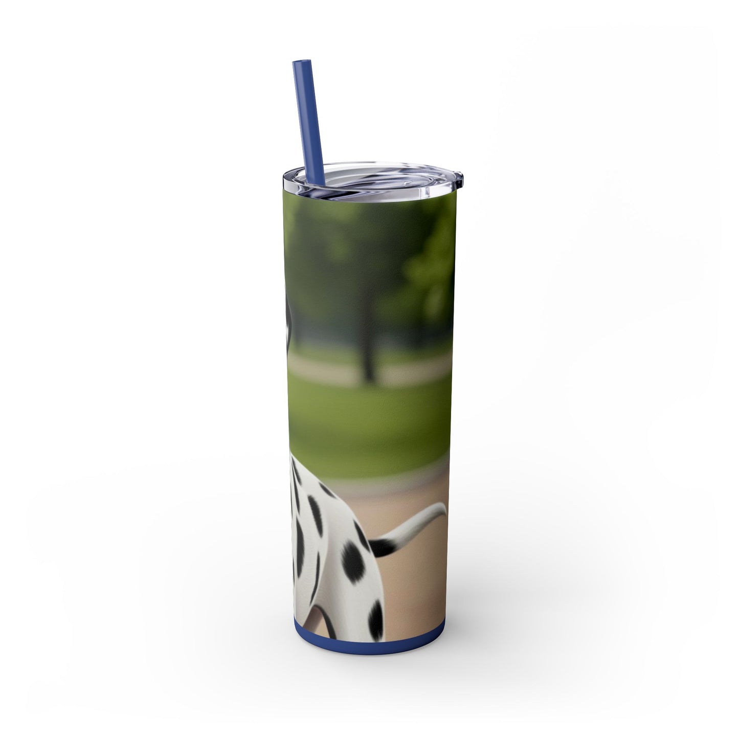 Skinny Tumbler with Straw – 20 oz Stainless Steel Cup