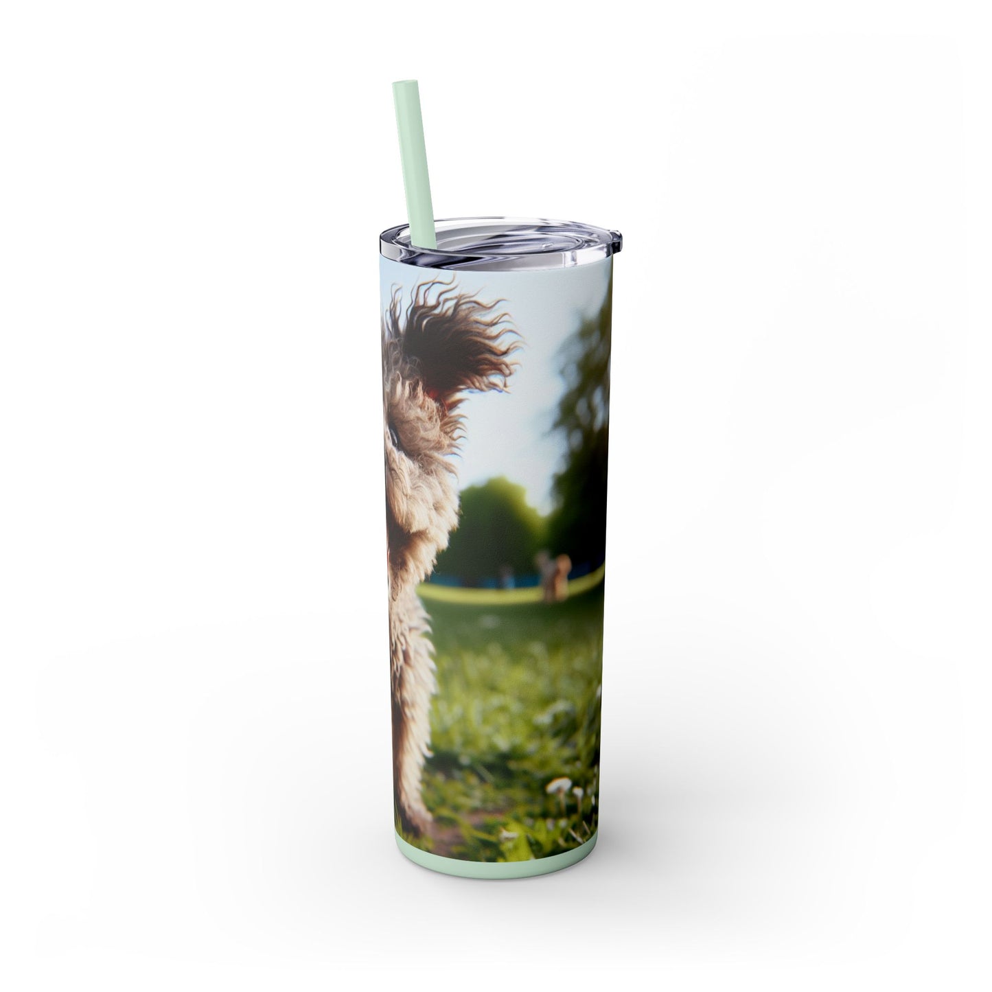 Pumi Skinny Tumbler with Straw, 20oz