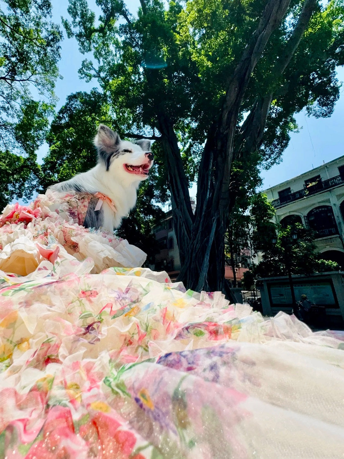 Blush Garden Princess Couture Dog Dress – Floral Ruffle Wedding Gown with Pink Bow Train