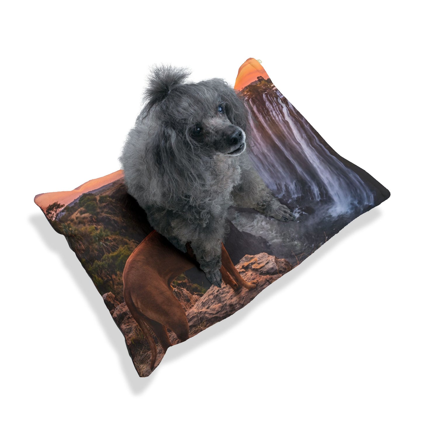 Rhodesian Ridgeback Pet Bed