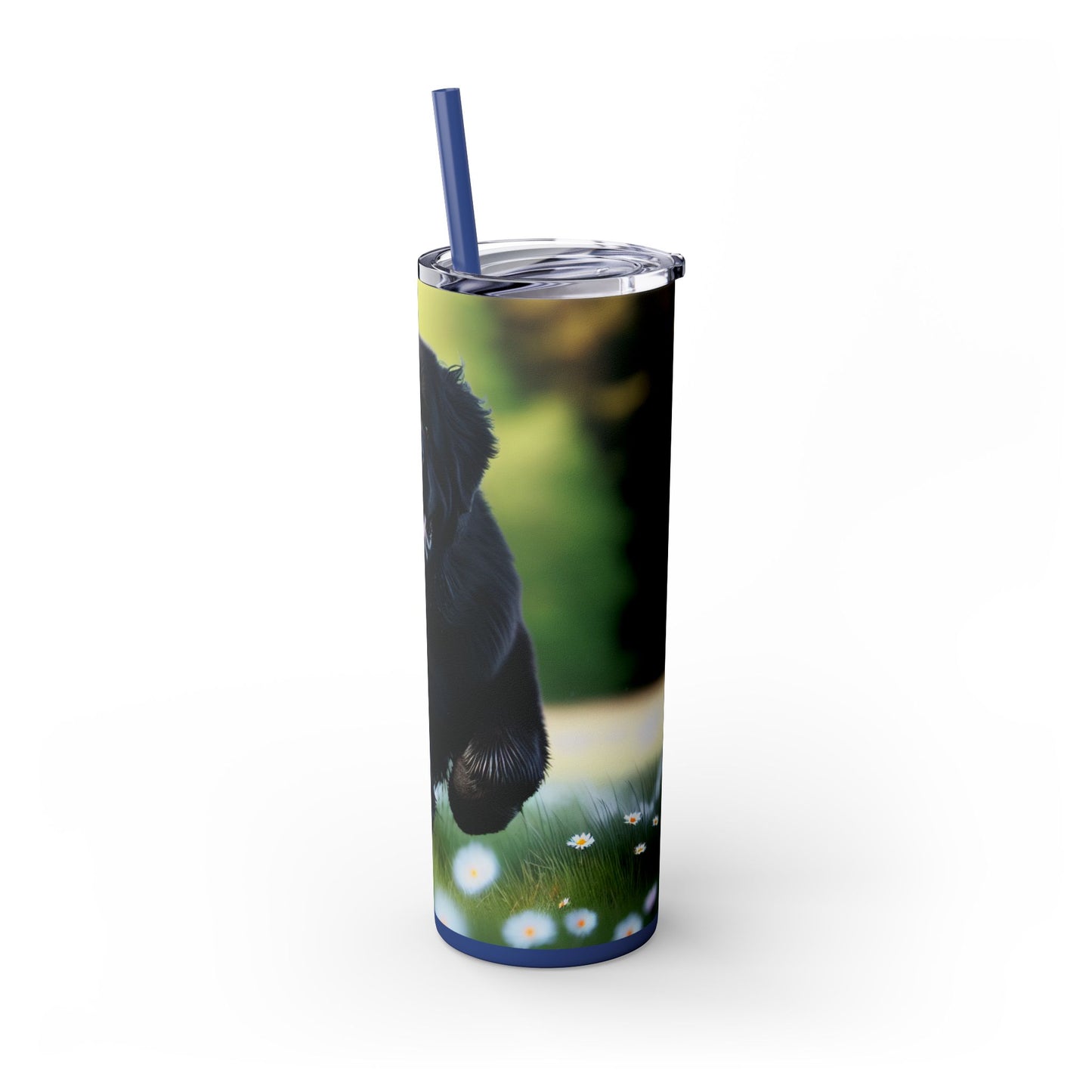 Newfoundland Skinny Tumbler with Straw, 20oz