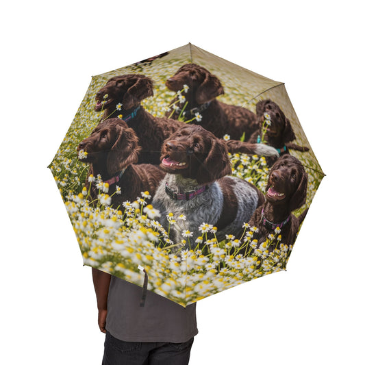 Pudelpointer Semi-Automatic Foldable Umbrella