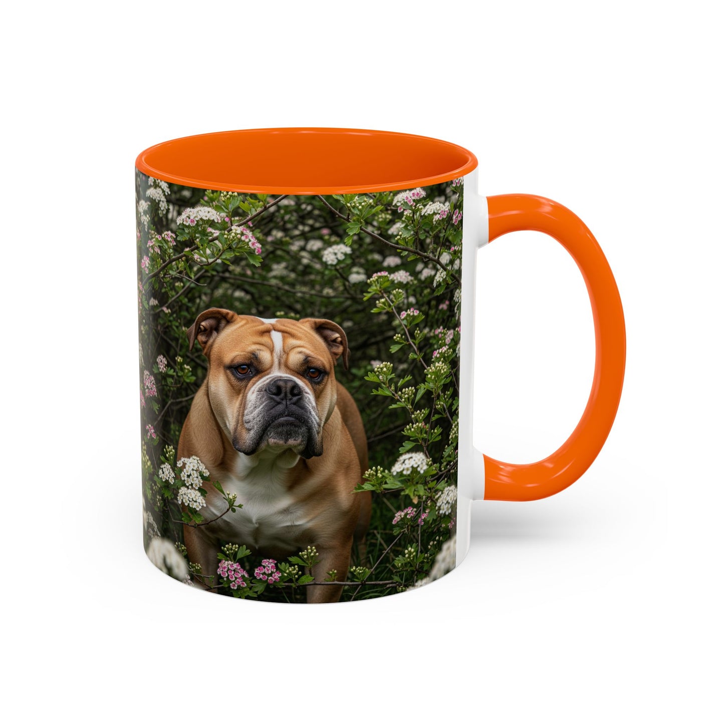 Mug à café Olde English Bulldogge Accent - Cadeau idéal pour les amoureux des chiens