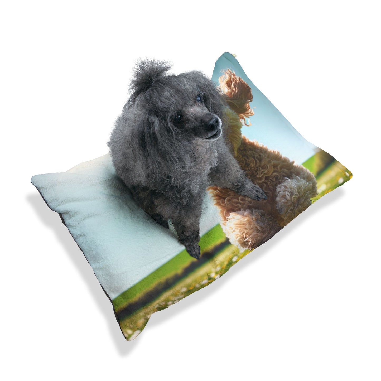 Spoodle Pet Bed