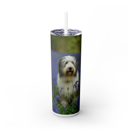 Bearded Collie Tumbler with Straw, 20oz