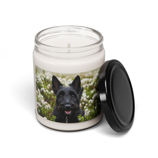 Scottish Terrier- Scented Soy Candle, 9oz