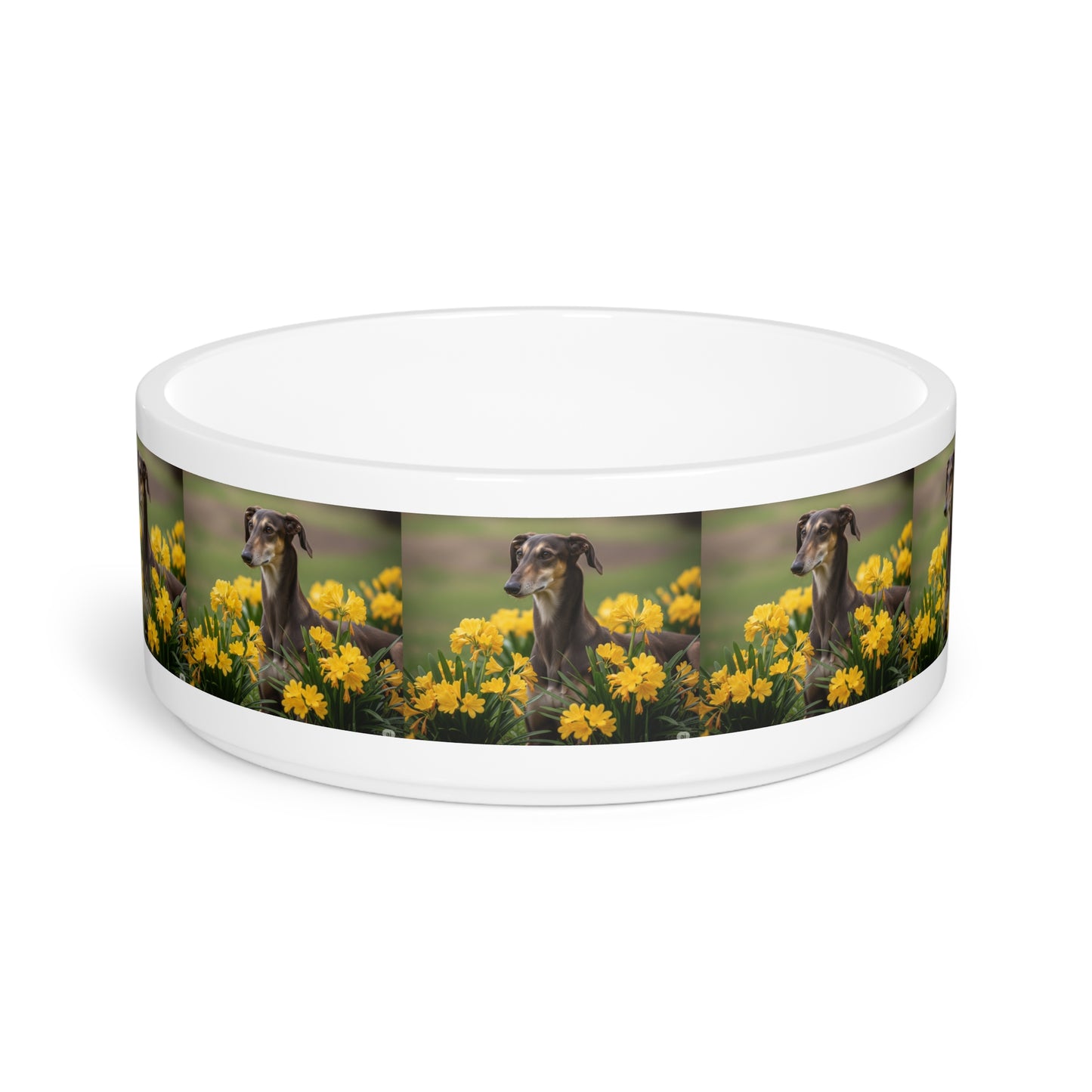 Sloughi Pet Bowl