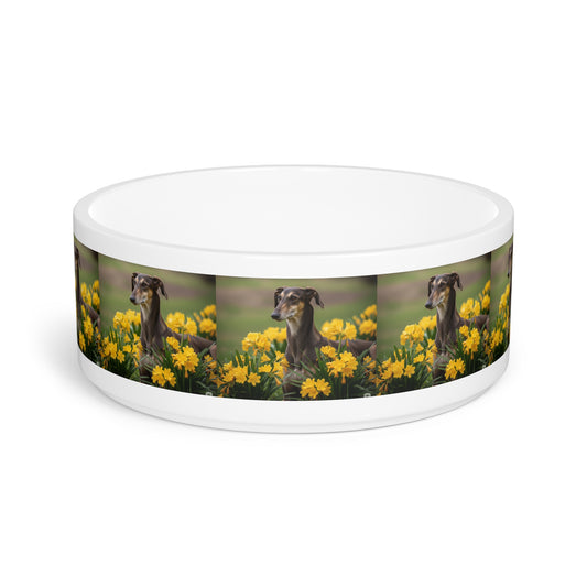 Sloughi Pet Bowl