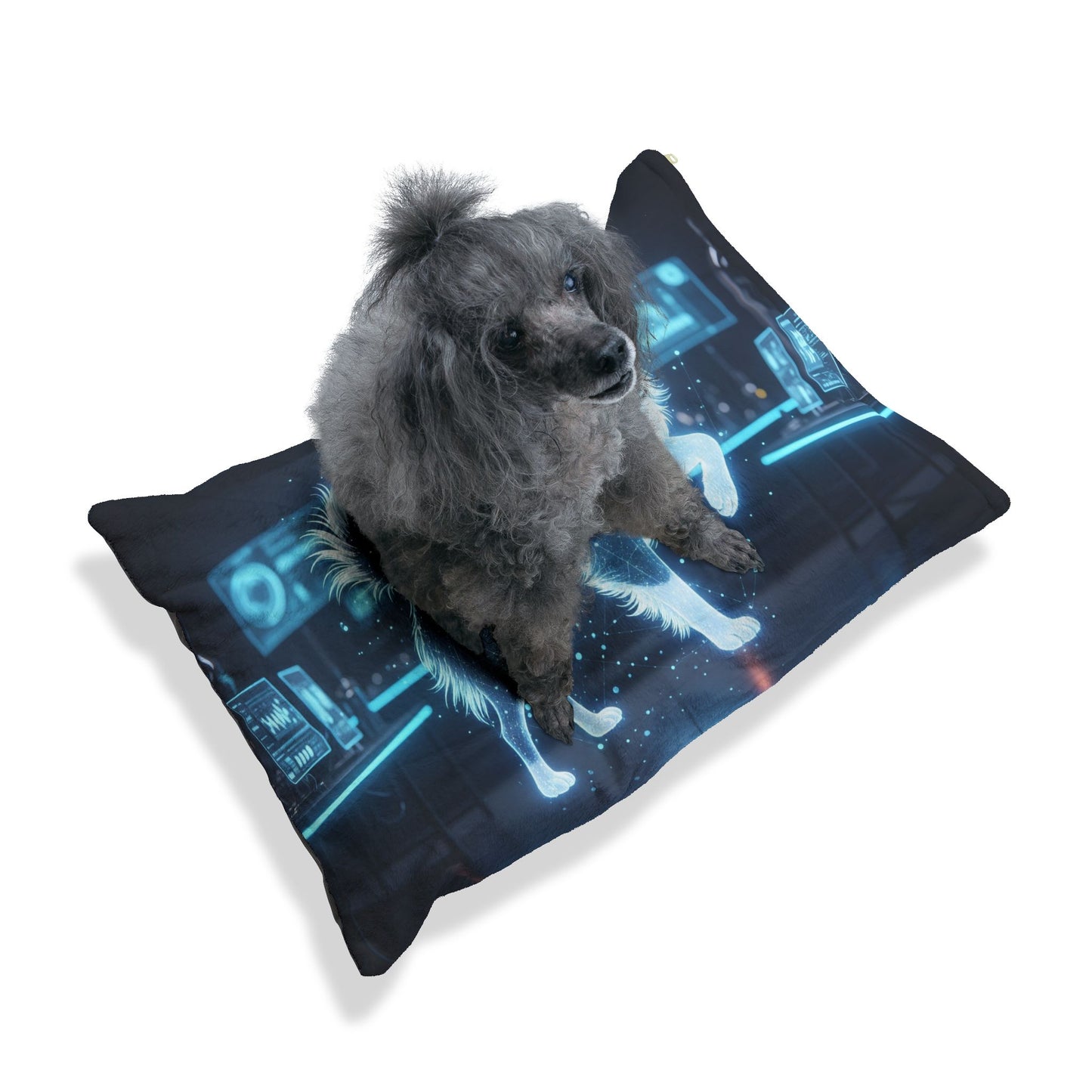 Japanese Chin Pet Bed