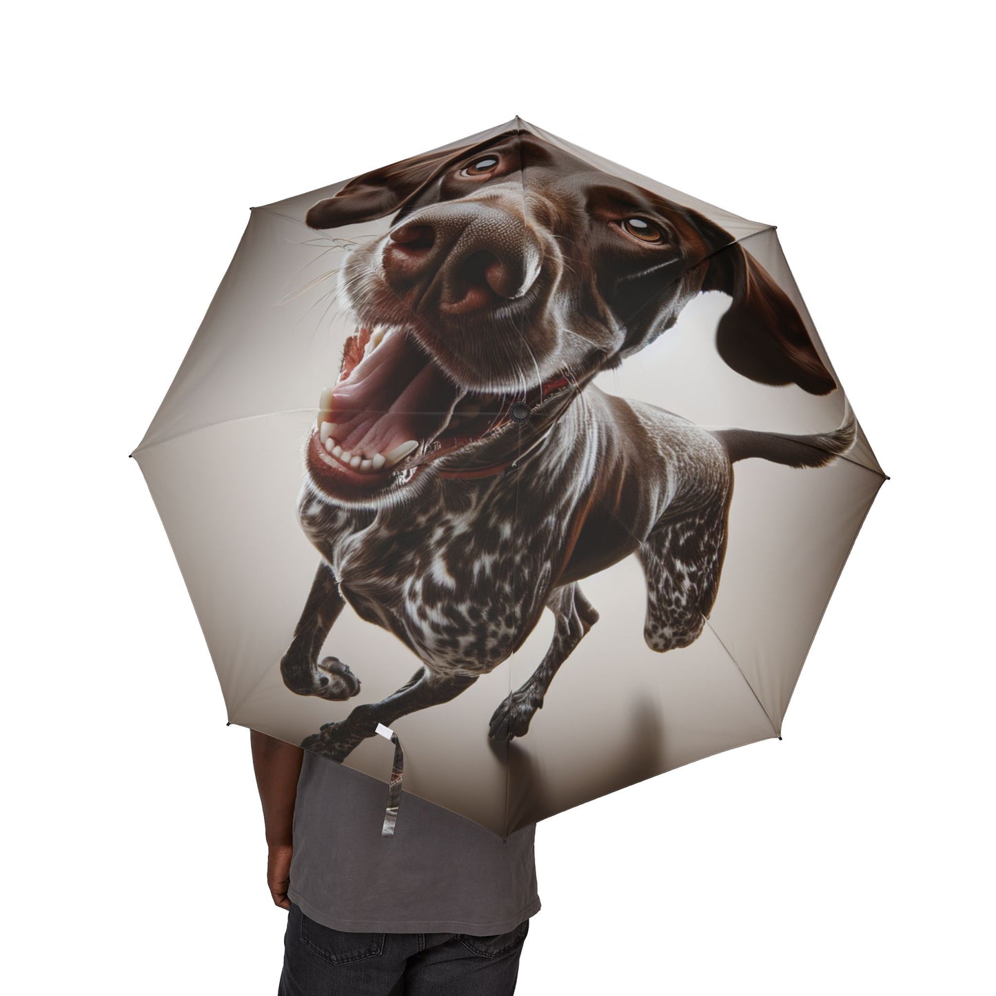 Parapluie pliant semi-automatique Braque allemand
