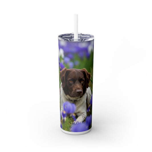 Stabyhouns Tumbler with Straw, 20oz