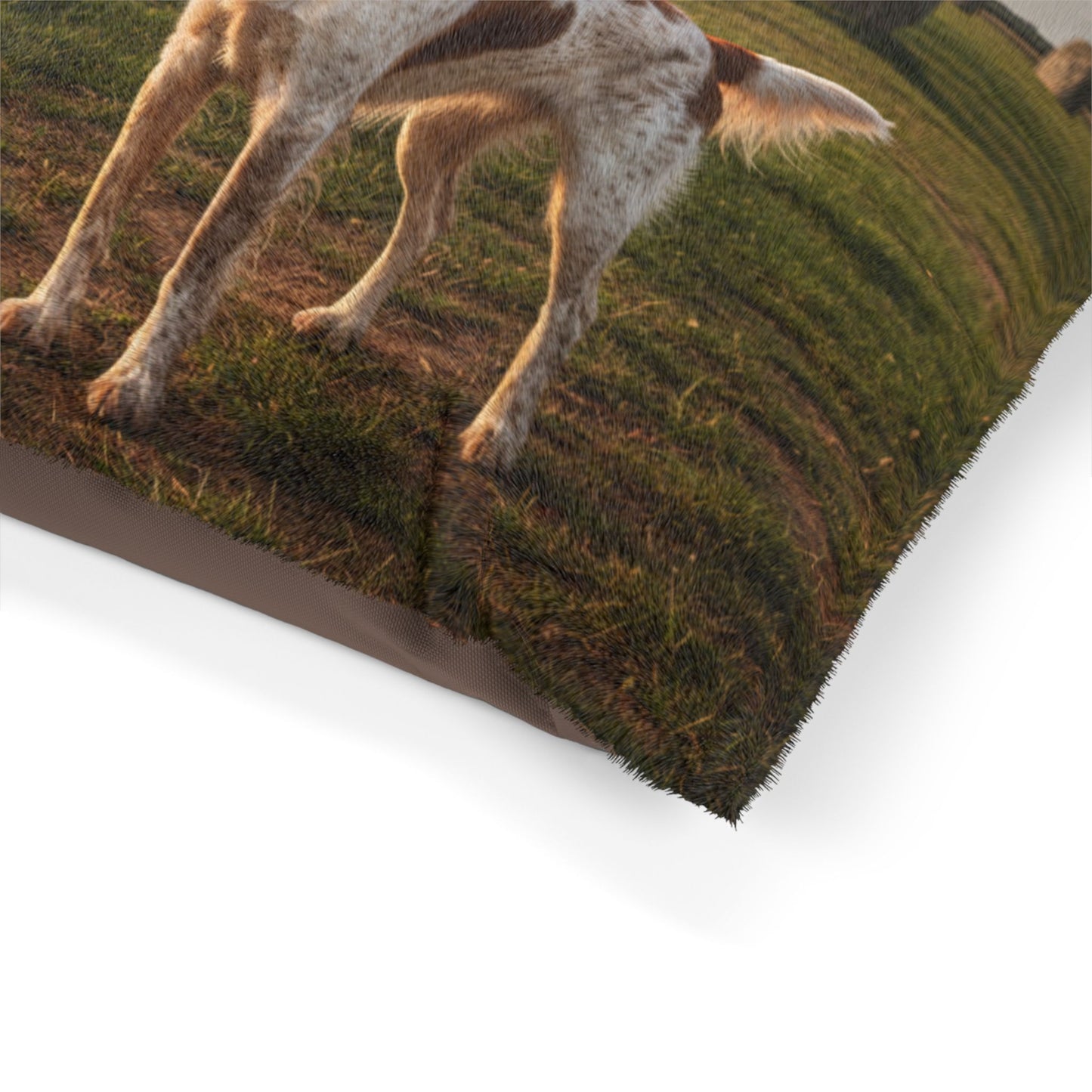 Brittany Spaniel Pet Bed