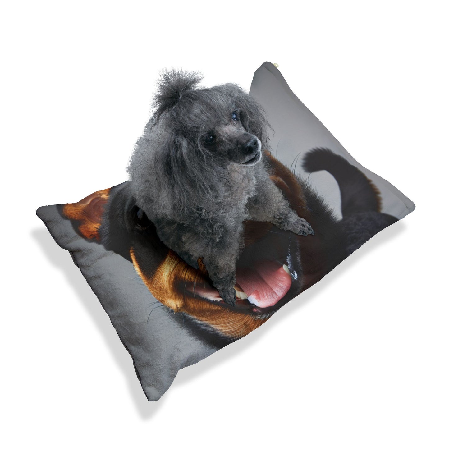 Lancashire Heeler Pet Bed